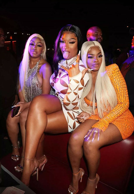 Megan Thee Stallion nude star pics