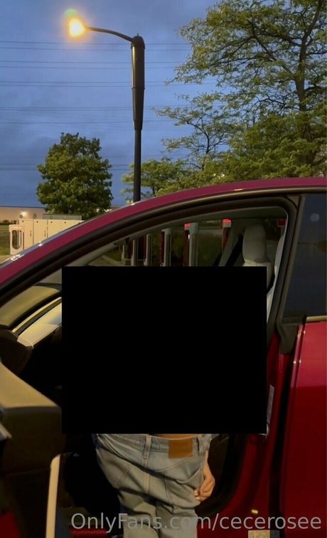 cecerosee pornstar image