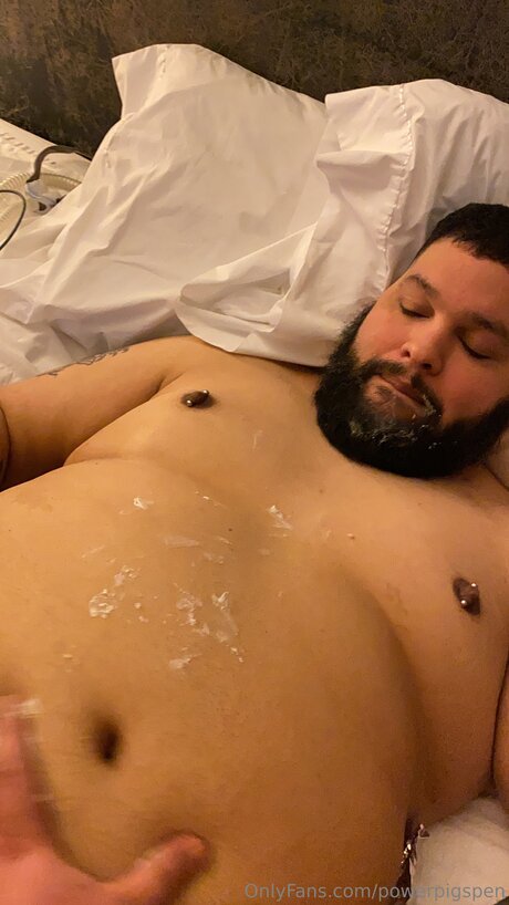 Powerpigspen model nice pictures