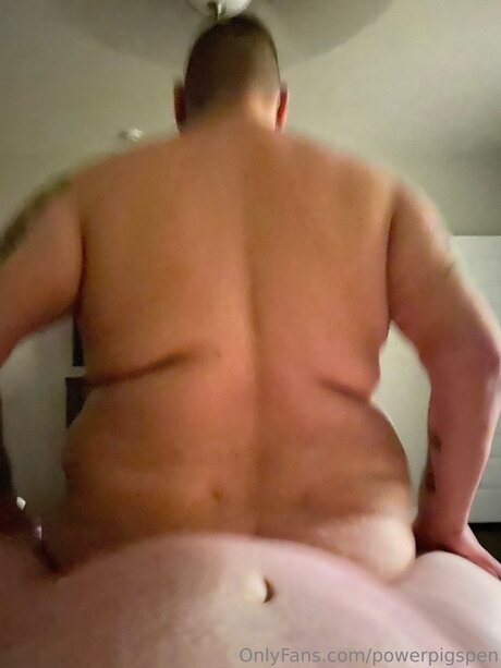 Powerpigspen model best images