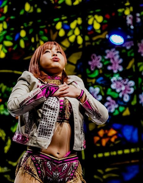 Mina Shirakawa hd model pic