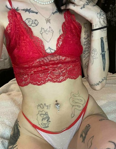 brexxo star perfect gallery