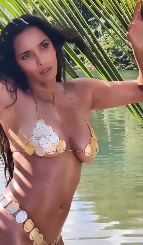 Padma Lakshmi star perfect picture