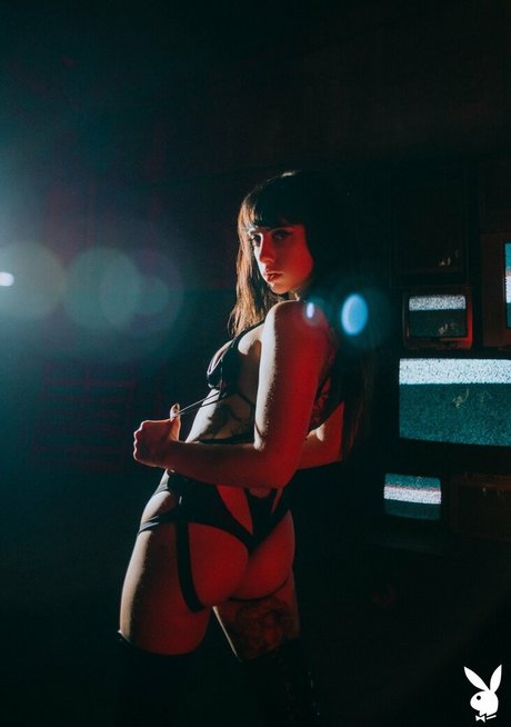 Reed Suicide model top picture