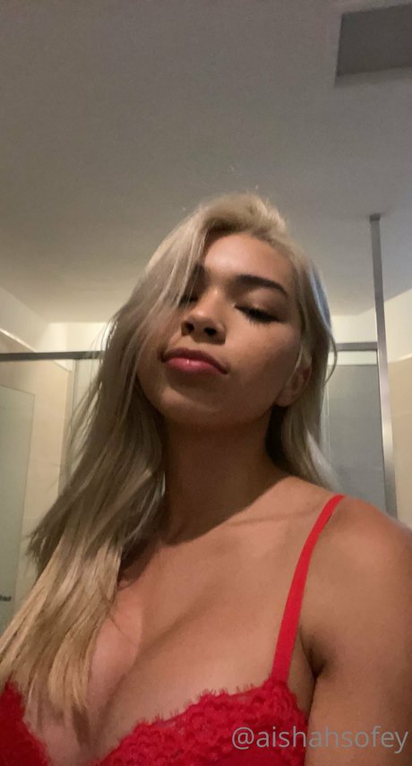 Aishah Sofey art pornstar photo