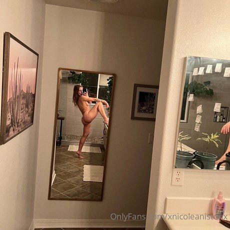 Nicole Aniston pornstar art gallery