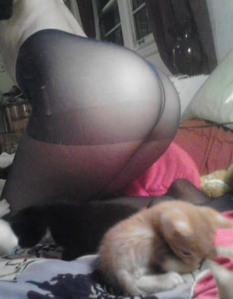 Alexa Lungu star high quality photo