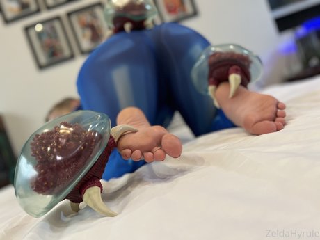 ZeldaHyrule model adult image