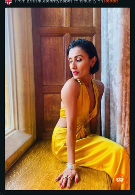 Anita Rani art star image