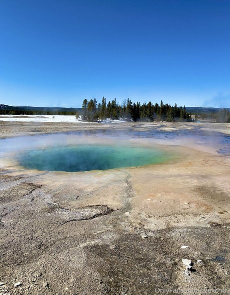 Alexchov porn star gallery