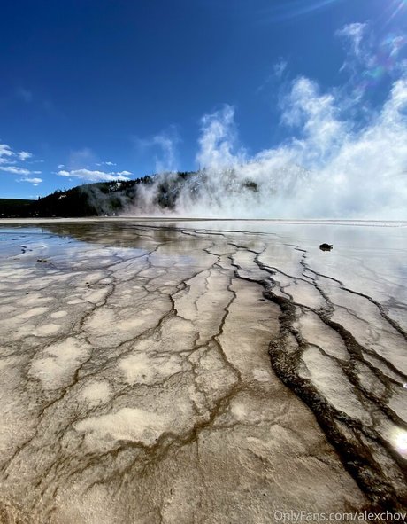 Alexchov star images