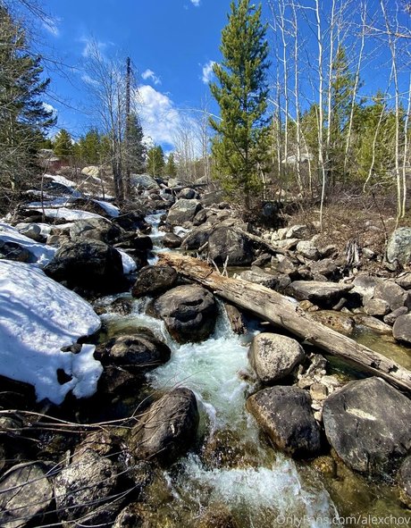 Alexchov pornstar high quality archive