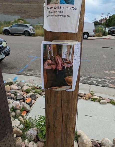 Wendy Lov pretty star pics