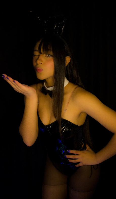 gabsshin model perfect archive