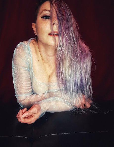 quinntaylorfree star archive