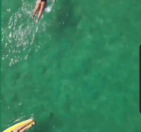 Nastya Blinova thumbnail