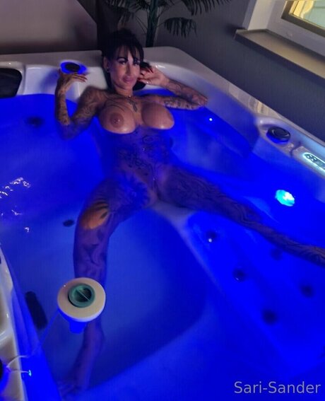 Sari Sander hot actress image