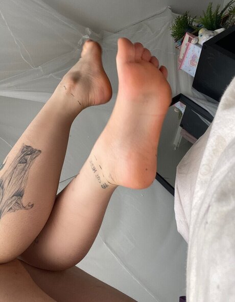 bjdmuse star adult photos