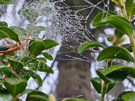 goth trans onlyfans nudes gallery