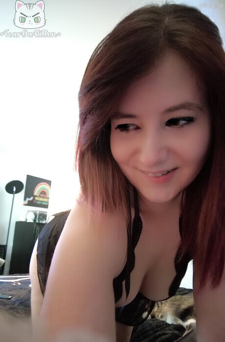 FearDaKitten sex pornstar archive