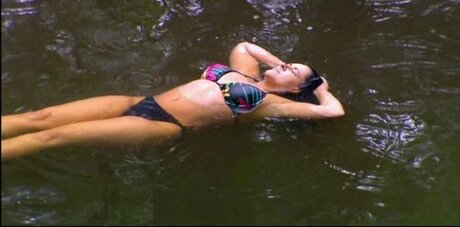 Ich bin ein Star Holt mich hier raus_ pornstar top img