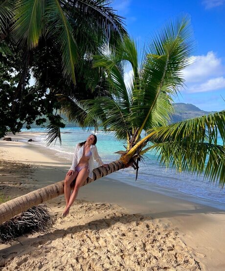 Lexi Si ziehl abegg porn star images