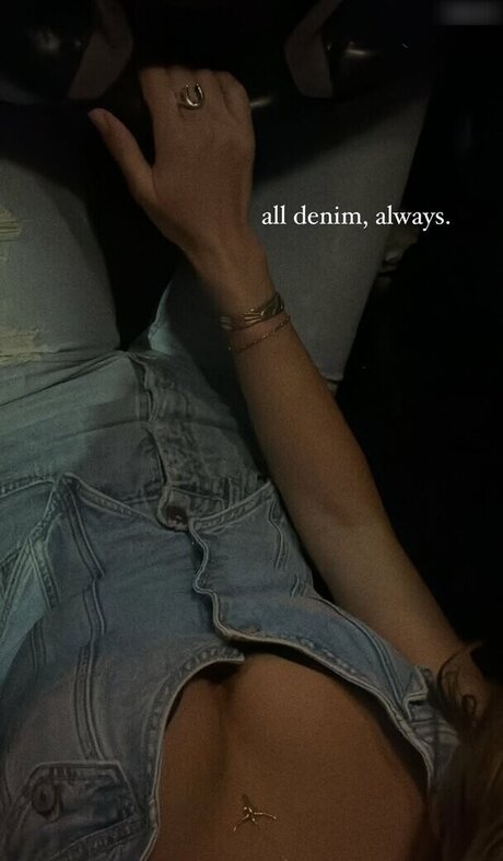 BrieWallz model free galleries