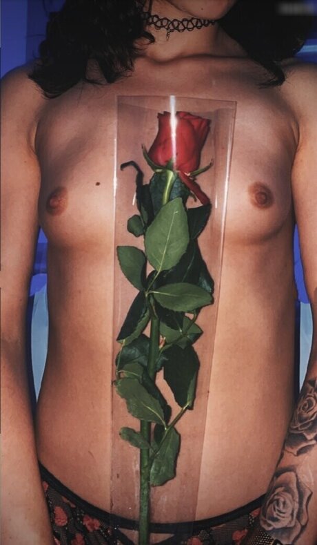 secret hub wue adult star image