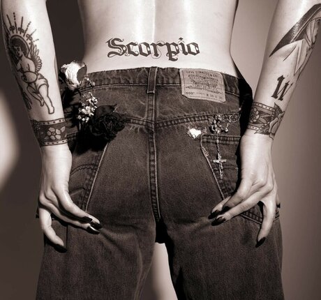 Brennan Wedl xxx star archive