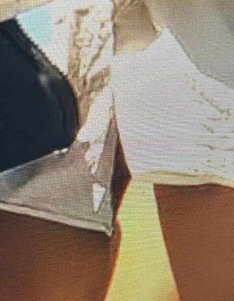 Sailing The Far Side perfect model picture