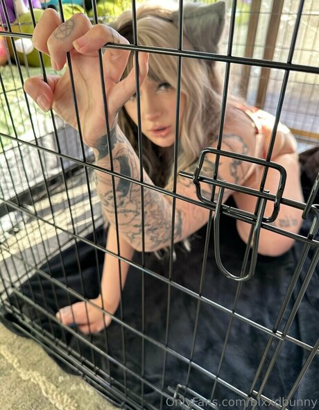 blxxdbunny star sexy galleries