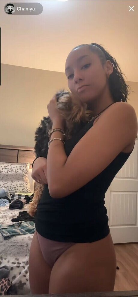 Chamya Johnson pornstar top images