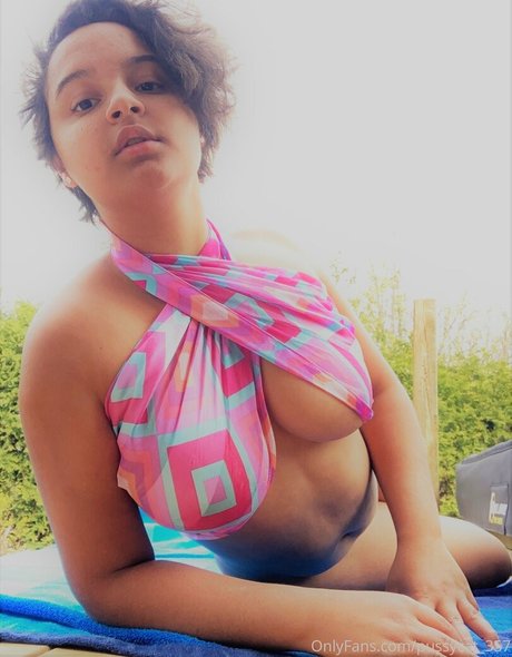 pussycat 357 model img