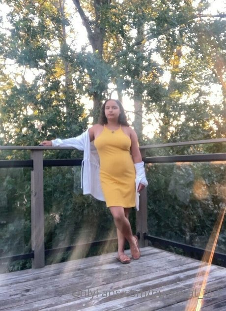 pussycat 357 porn star pictures