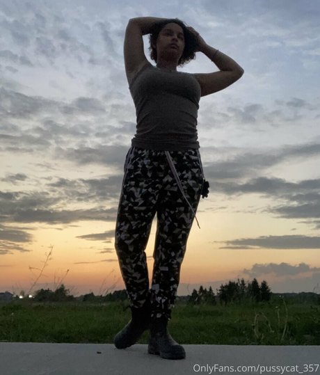 pussycat 357 pornstar art pics