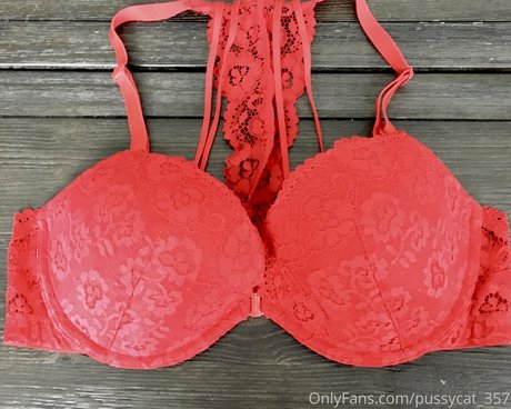 pussycat 357 star beautiful gallery