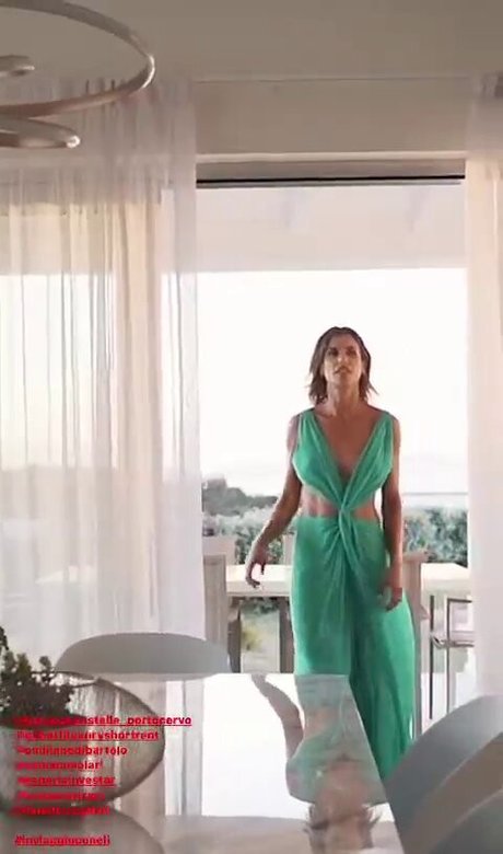 Elisabetta Canalis perfect star picture