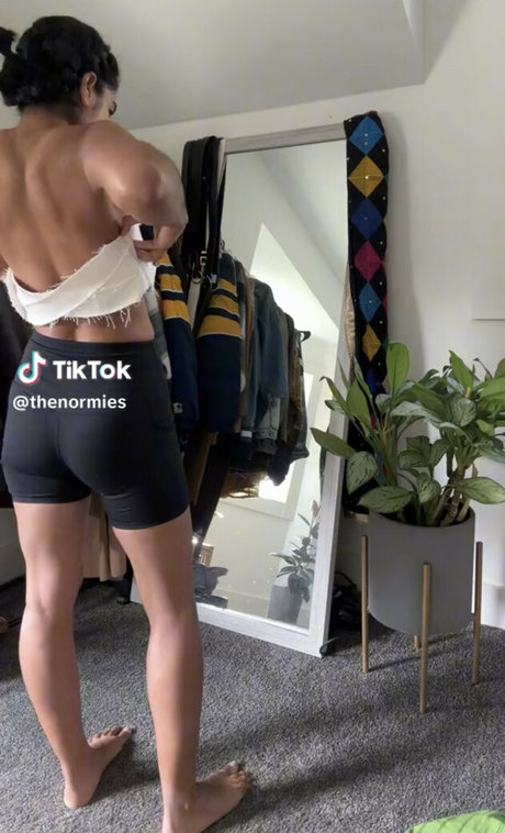 The Normies best model img