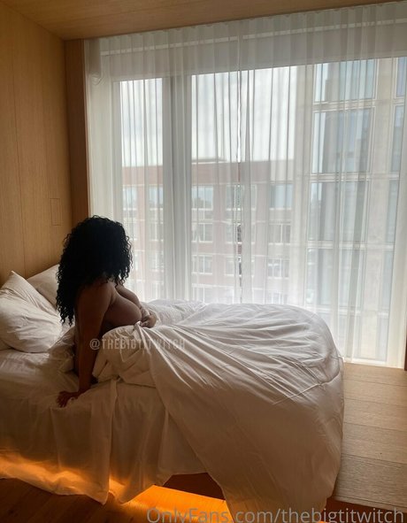 thebigtitwitch pornstar adult picture