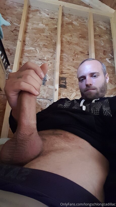 Cadillac star hot pic