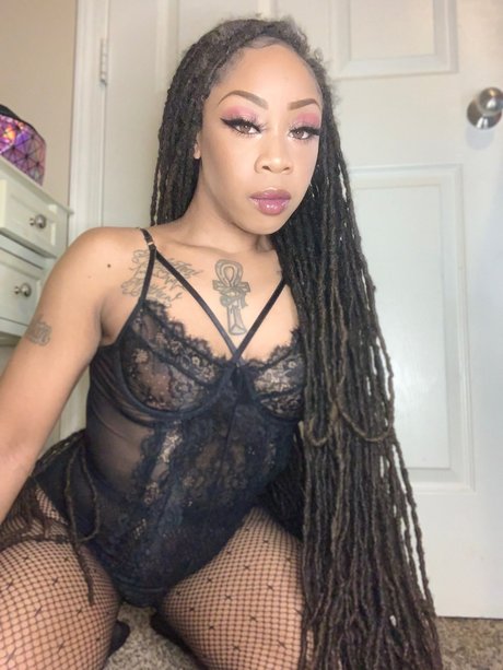 G T L T F hd model galleries