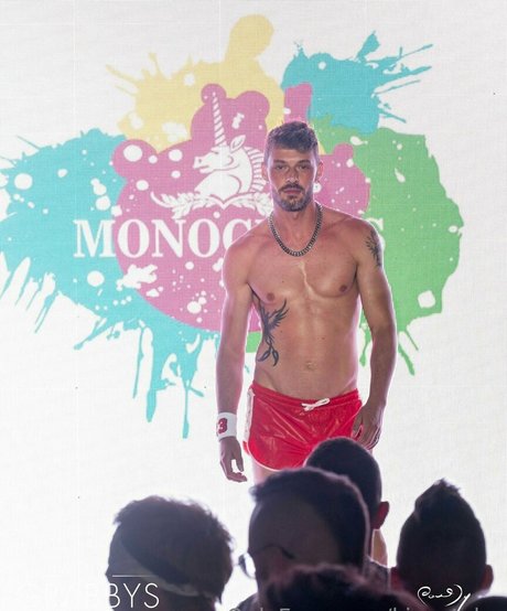 king tylor pornstar erotic archive