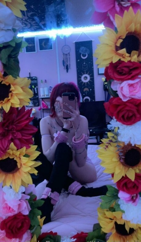 ittybittyloli star nice galleries