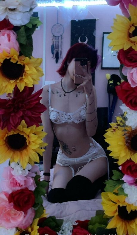 ittybittyloli xxx actress image