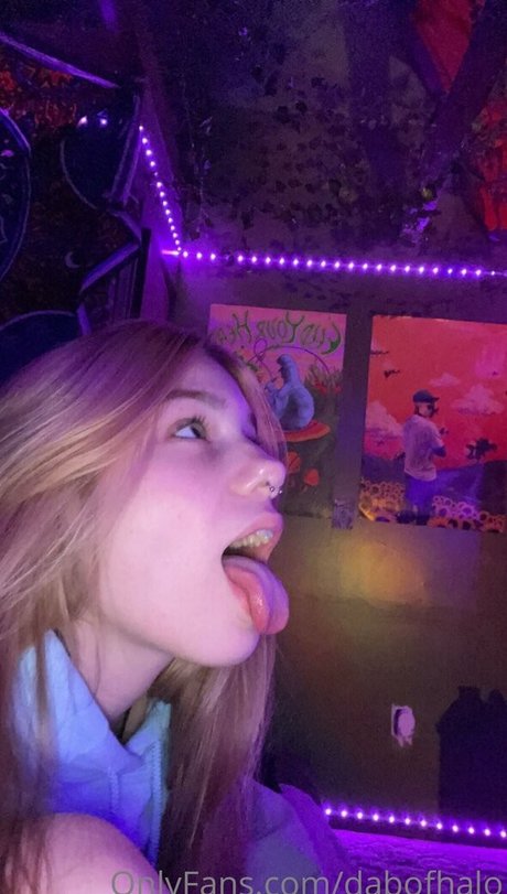 dabofhalo best model archive