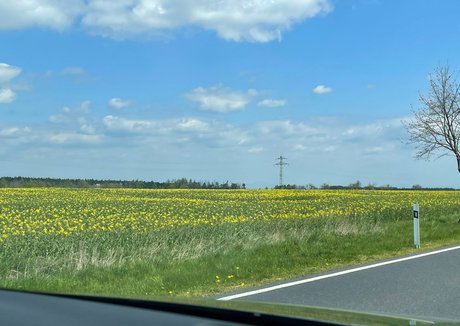 quin night afterdark pornstar free photo