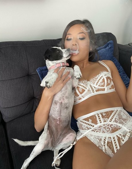 Vinaskyy star beautiful archive