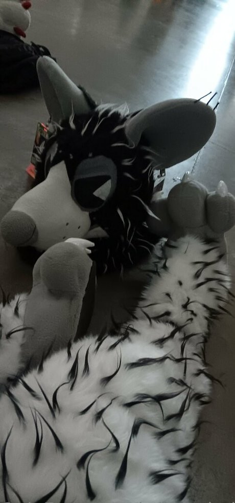 brittrachelleupdates pornstar top image