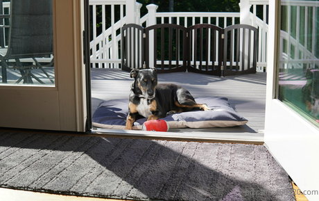 gutfuzz model top galleries