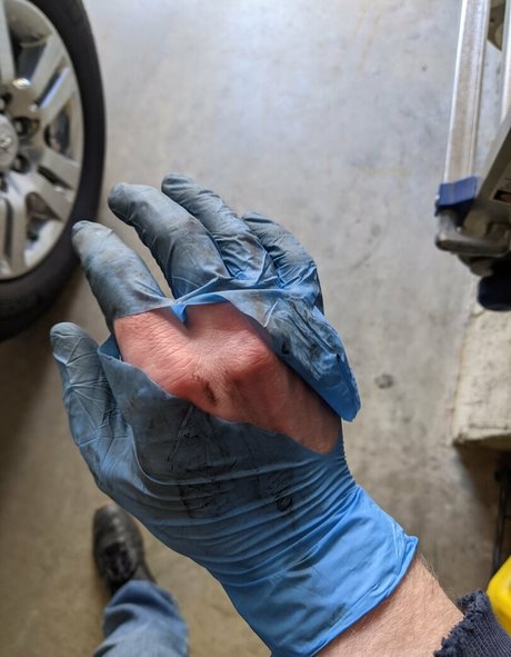 gutfuzz model free pics